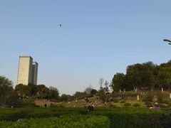 -滨湖塘西河公园