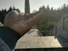 -祥源·阜阳生态乐园