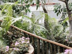 -正佳雨林生态植物园