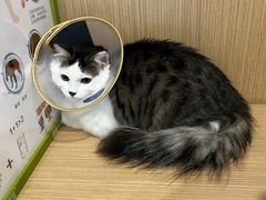 -美迦爱-牙专科·兔科·骨科诊疗中心(北苑店)