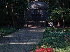 -灵谷景区