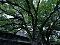 -阿育王寺