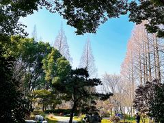 -枫桥景区