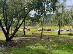 -泸沽湖国家级风景名胜区走婚桥