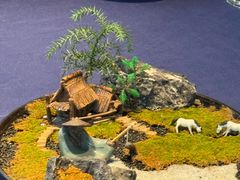 -维园悦谱·海派家常菜(乌鲁木齐南路店)
