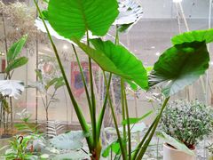 -袁亮今日陶艺(苹果社区总店)