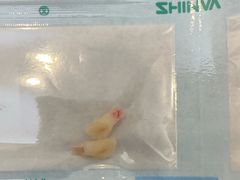 -维乐口腔(美维云门诊陆家嘴店)