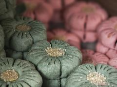 -庆祥斋糕点厂(留学路店)