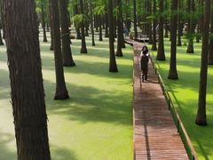 -渌洋湖湿地公园
