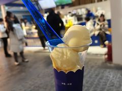 -西琳姑娘·新疆冰淇淋酸奶茶(南开大悦城店)