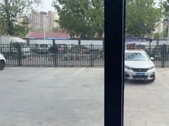 -北京派仕佳德动物医院·超导核磁·CT·神经科·骨科·内外科·急重症管理中心