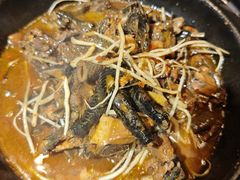 通关黄焖鸡-银生食府·普洱菜(金星店)