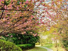 -华东理工大学-图书馆