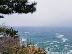-小麦岛公园