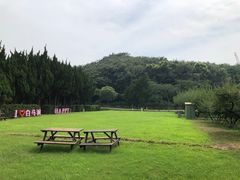-白马涧龙池景区