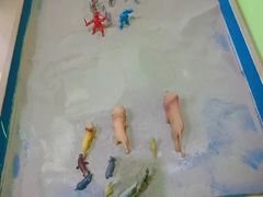 -竞思注意力·专注力·学习能力训练(广开中心)