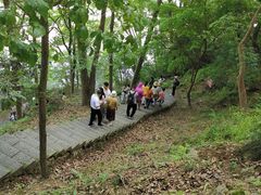 -严子陵钓台(富春江小三峡)