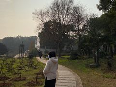 -东湖落雁景区