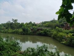 -龙山酒店温泉