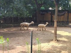 -南昌动物园
