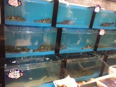 -牟传仁饭庄(星海店)