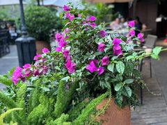 -百味馆·海鲜·湛江菜(后海花园店)