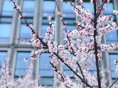 -陆家嘴世纪金融广场