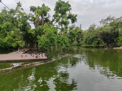 -海南热带野生动植物园