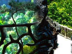 -梭布垭石林景区