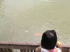 -揭东万竹园旅游景区