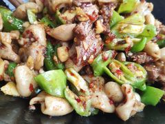 干锅肥肠-张氏父子常德肠子馆(红星总店)