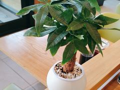 -李先生牛肉面大王(欧亚卖场店)