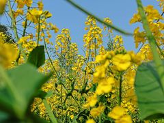 -谭记石锅鱼府(三道堰店)