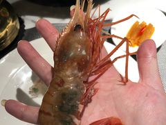 -海玥荟海鲜姿造自助餐厅(欧罗巴广场店)