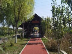 -永定河休闲森林公园