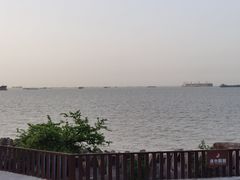 -上海滨江森林公园