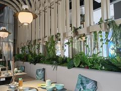 -原味四季椰子鸡(平湖天虹店)