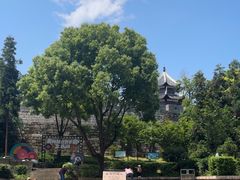 -文昌阁-老东门遗址