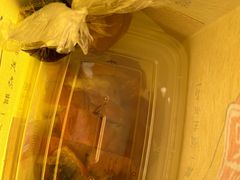 -永祥烧腊餐厅(虹口店)