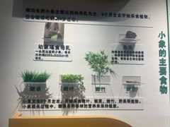 -野象谷景区