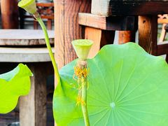 -道南書院·私房菜·早午茶·茶馆