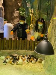 -宝燕乐园(闵行旗舰店)