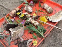 -永定河休闲森林公园