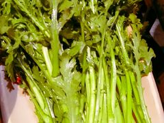 茼蒿-重庆渝达老火锅(春熙路店)