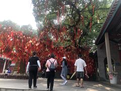 -国恩寺