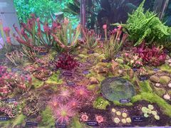 -中国科学院西双版纳热带植物园