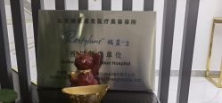 -北京丽星翼美医疗美容