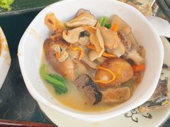 -蘑统田下·野生菌火锅