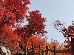 -周口店坡峰岭风景区