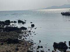 -养马岛旅游度假区